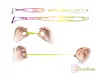Gumihal Delphin Zandera Flexifloat Uvs / 5Db