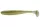 Tournament D'Fin Ayu - 12.5Cm -
