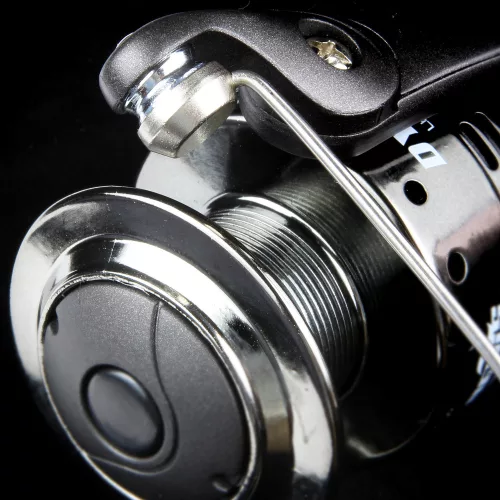 Dynamic 2Cs 50