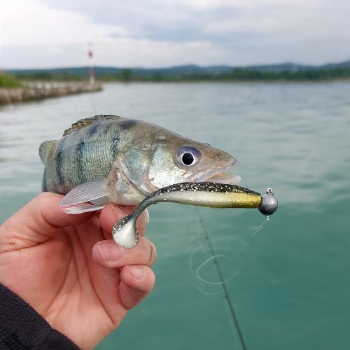 Reiva Ultra Strong Jig Head 1-3,5G  4Db/Cs