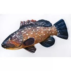Halaspárna  Barna Fűrészessügér 100Cm
