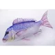 Halaspárna  Fogasdurbincs80cm