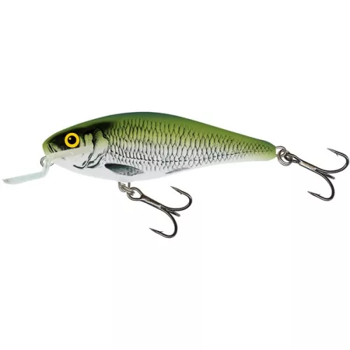 Salmo Wobbler Executor Iex5Sr Hgk