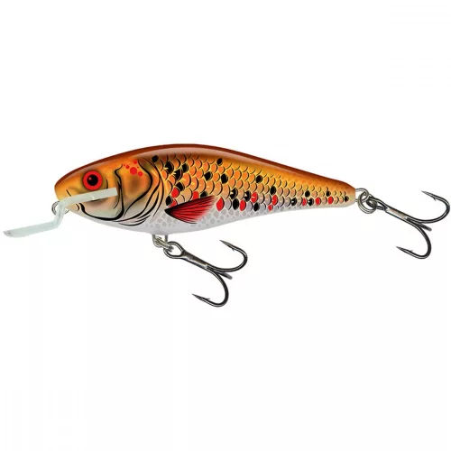 Salmo Wobbler Executor Iex5Sr Hgk