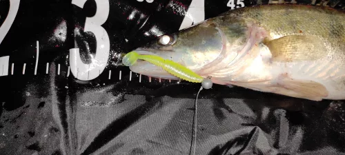 Zander Power Shad 10Cm 4Db/Cs (Zöld-Narancs Flitter)