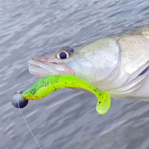 Zander Power Shad 8Cm 5Db/Cs (Fekete Ezüst)