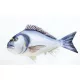Halaspárna  Aranydurbincs 60Cm
