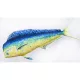 Halaspárna  Mahi Mahi 112Cm