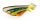 Fox Rage Zander Pro Shads Fire Tiger 7.5Cm