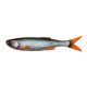 Savage Gear Craft Dying Minnow 7.5Cm 2G Roach 5Pcs